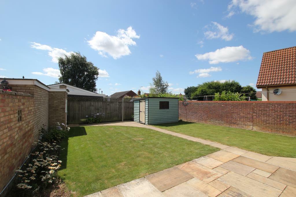 new garden1.JPG
