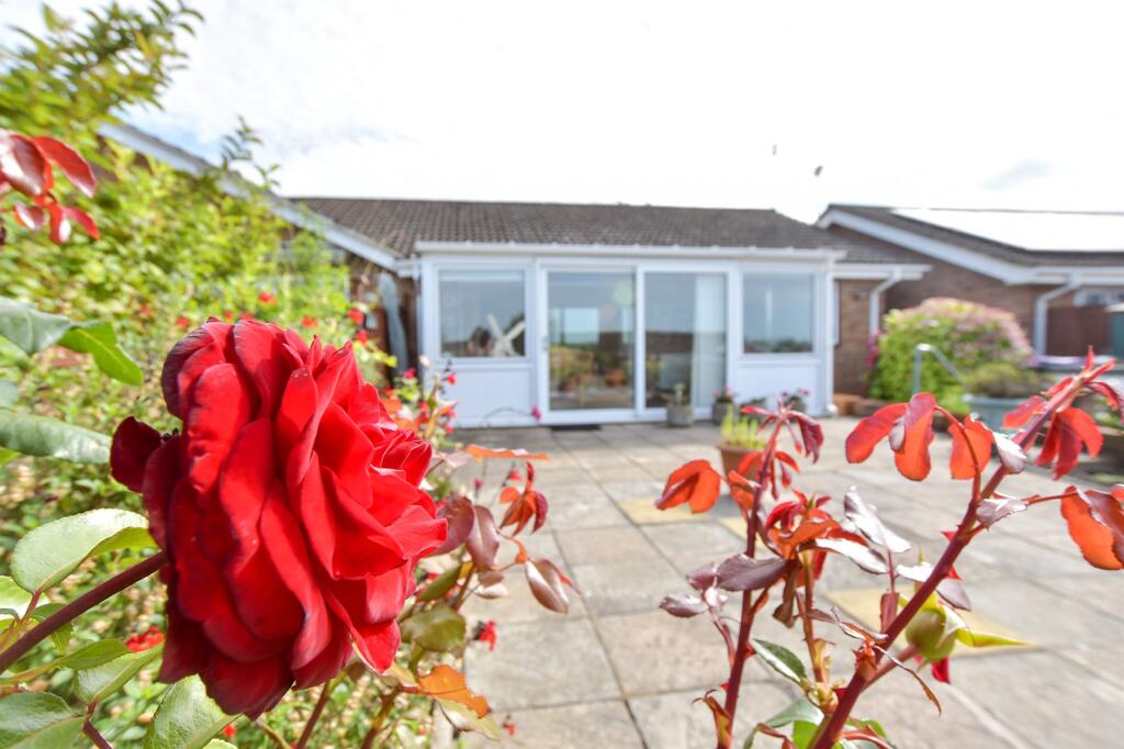 External Lifestyle Photograph