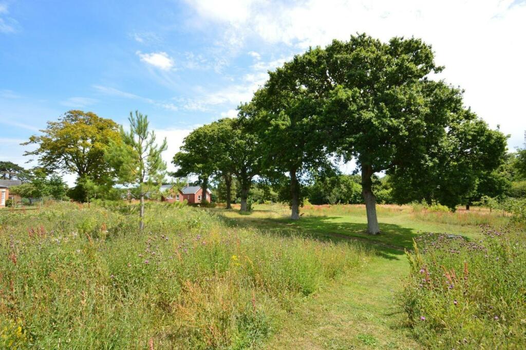 Communal Grounds