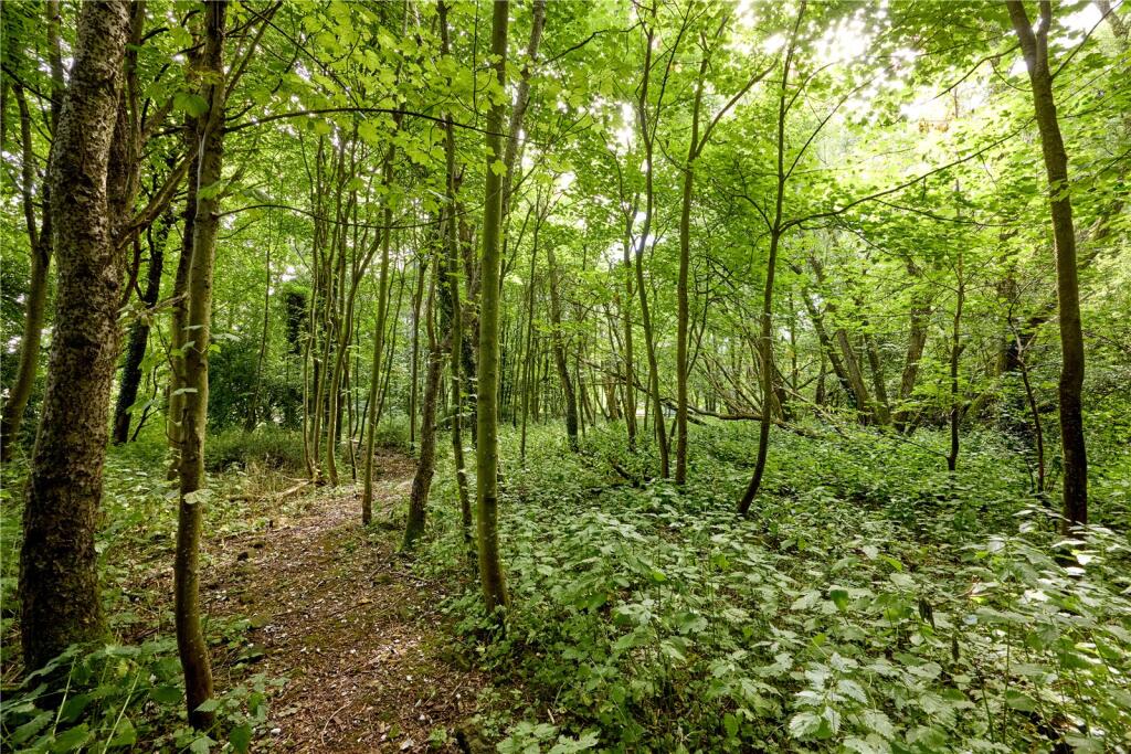 Woodland
