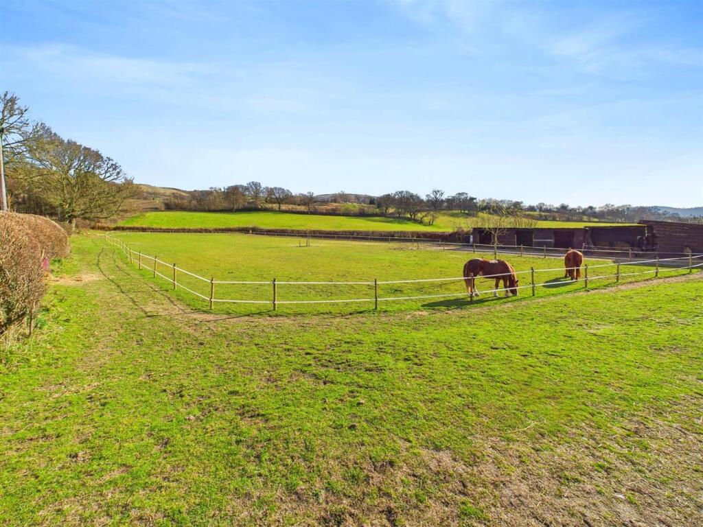 remove horse poo .jpg