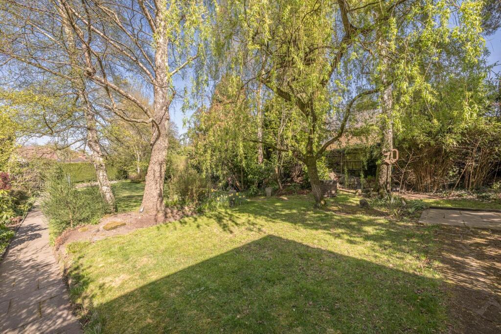 Rear Garden 2