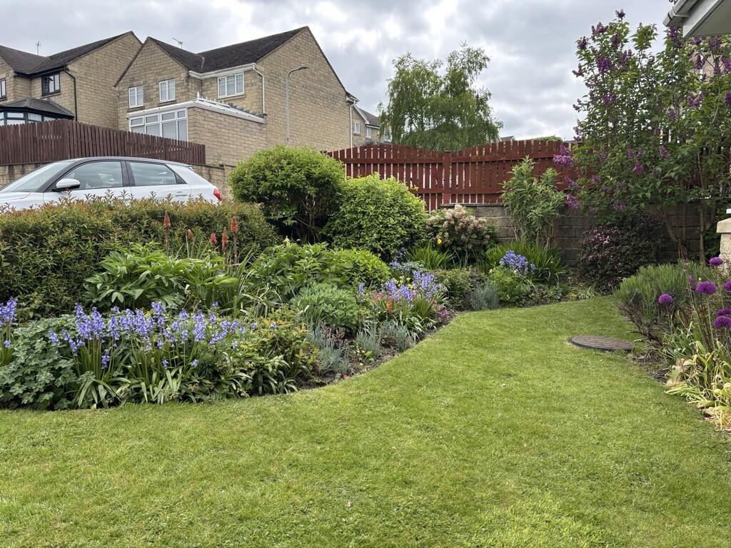 front garden 1