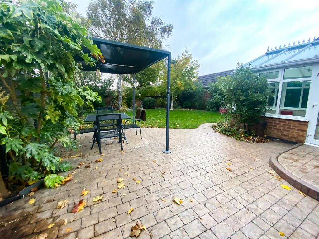 Monkey vs Owl Edit-1-8.jpg