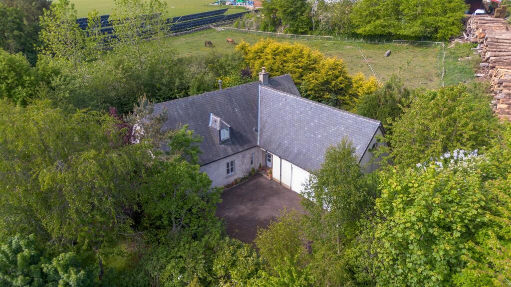 DJI_0725.jpg