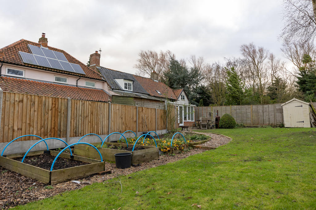 Veg patch 