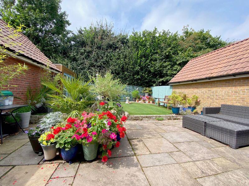 The Rear Garden