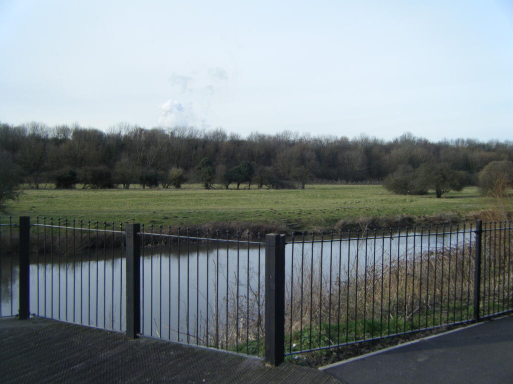 Photo 04