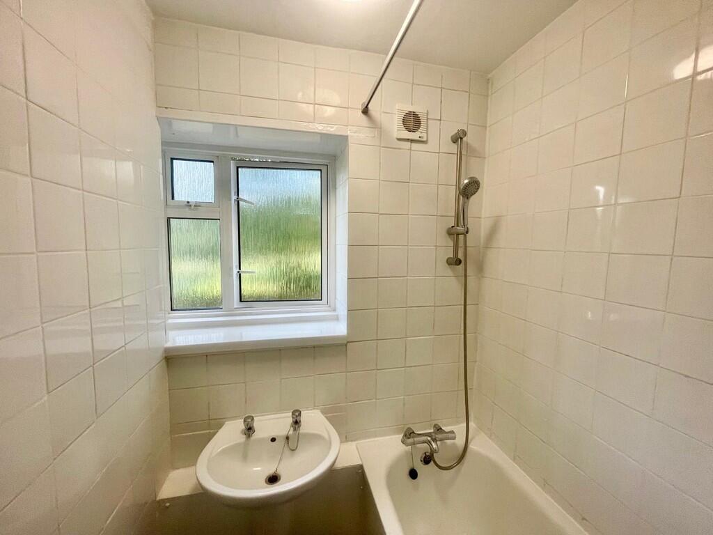 WhatsApp Image 20...