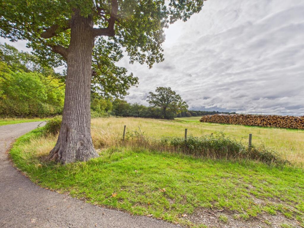Picture 18