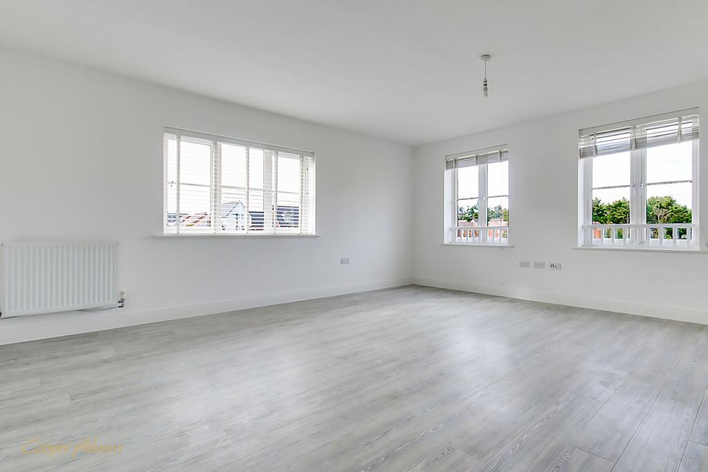 Open plan Living room/Dining