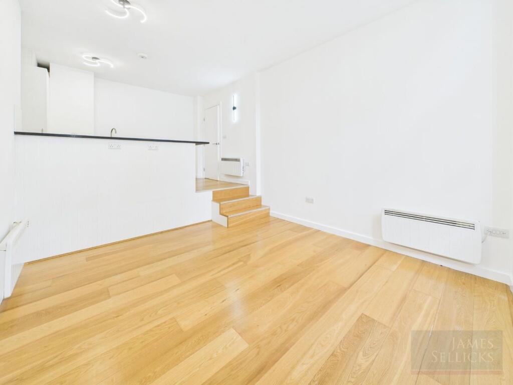 Open plan living/bedroom/kitchen area