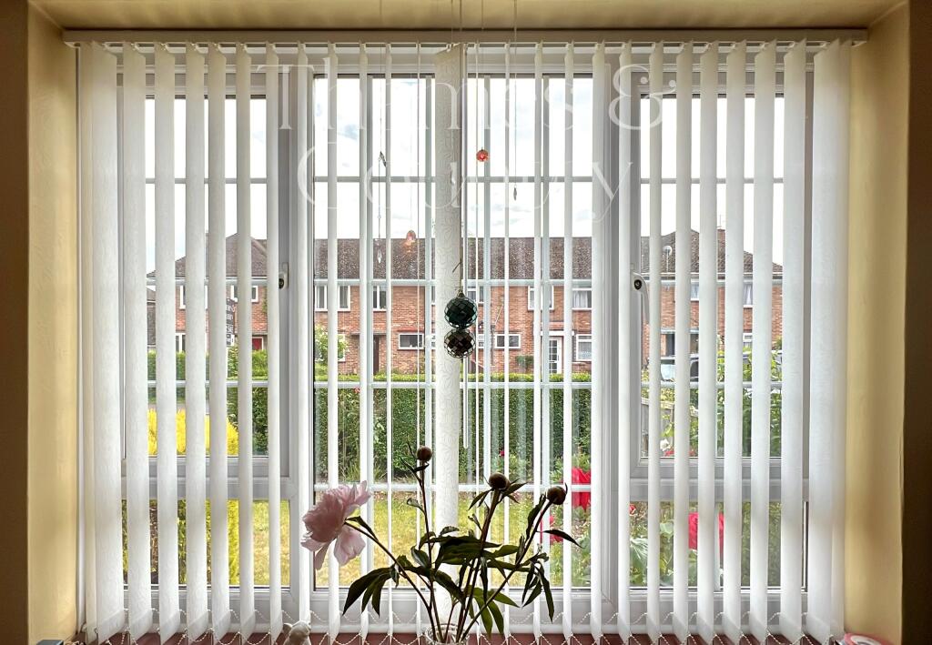 Front garden view from lounge