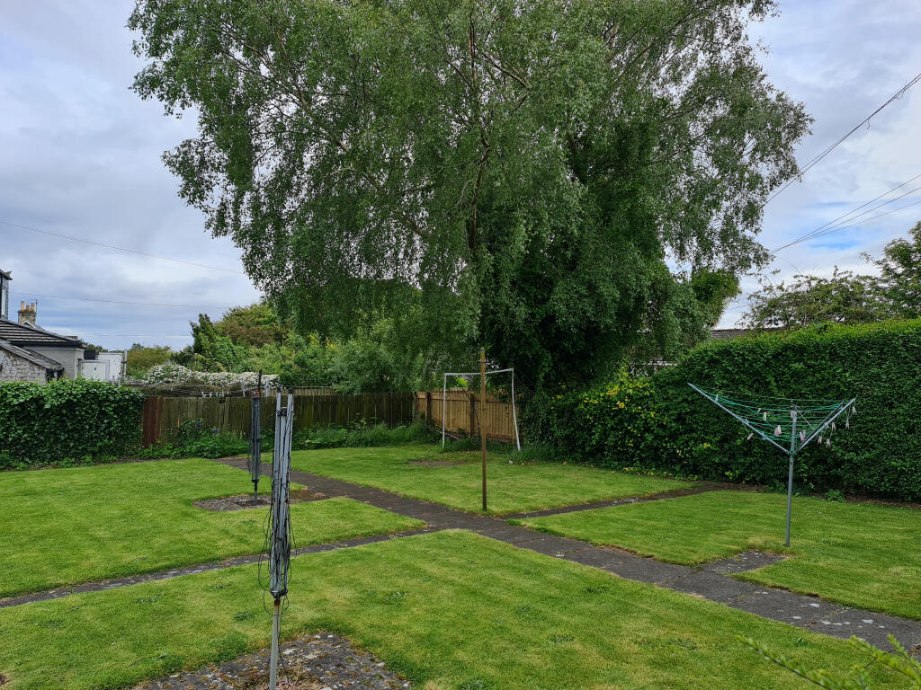 Garden pic 2