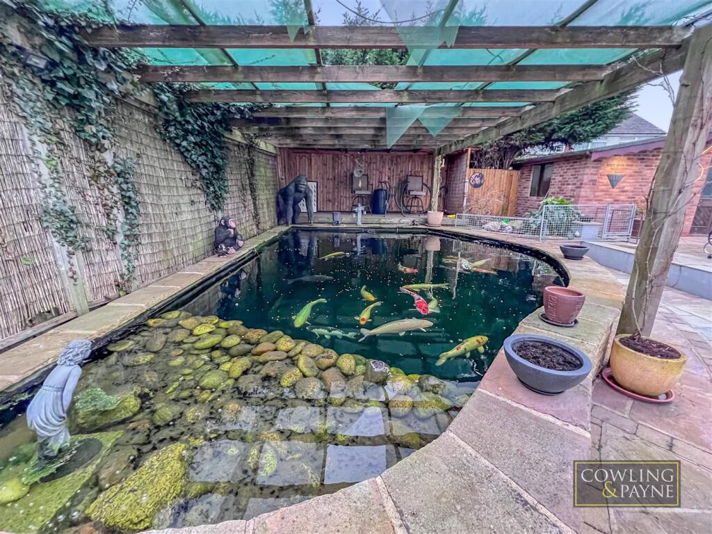 Koi Pond