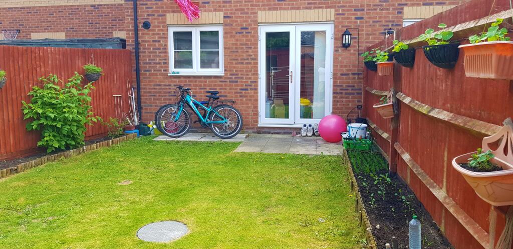 Garden 3
