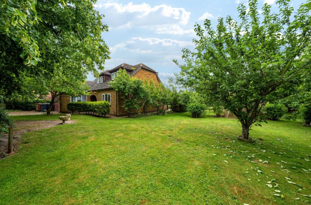 1299933-22-683a3f1a41ffc-ARW