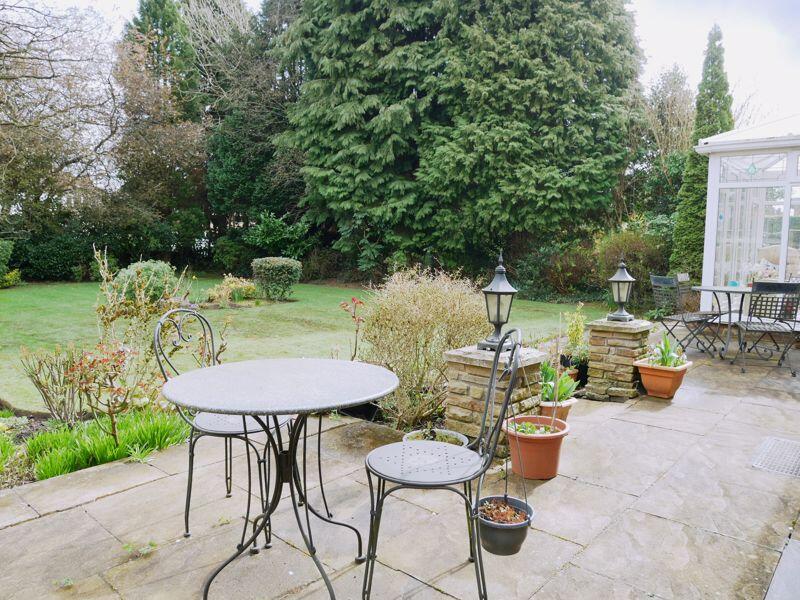 Photo 50