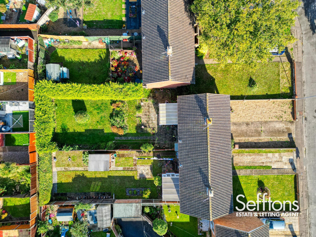 DJI_0437_2