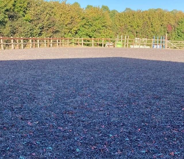3 paddocks.jpg