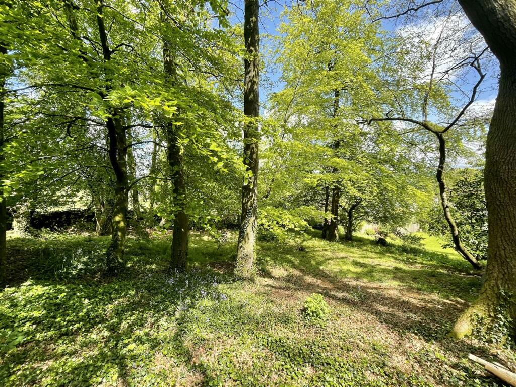 Woodland.jpg