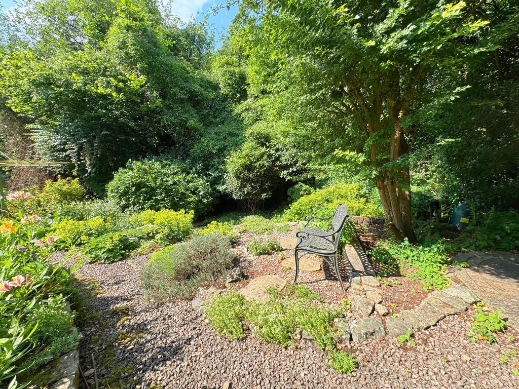 Garden (1)