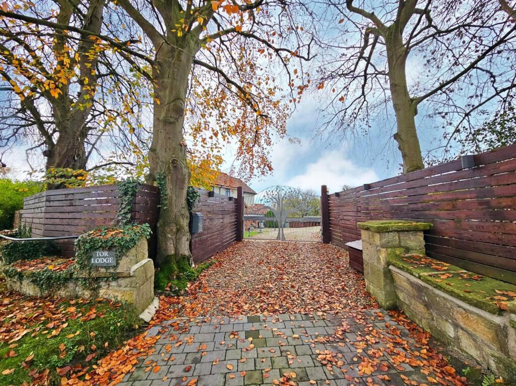 2405e87d-89c8-4d7f-8f6c-901f9bcfc872