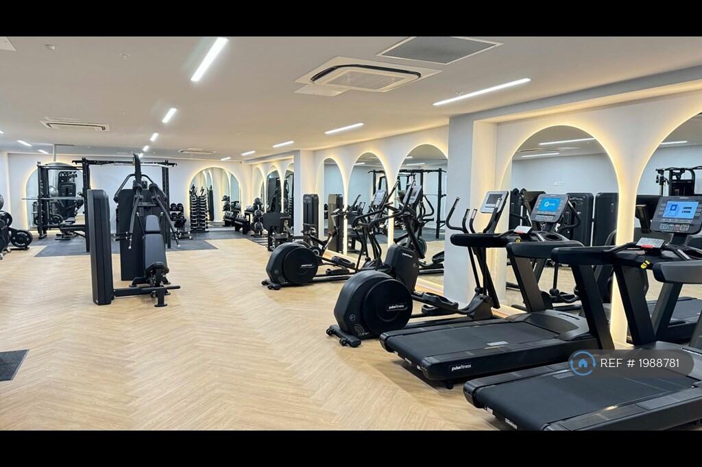 Fitted Gym