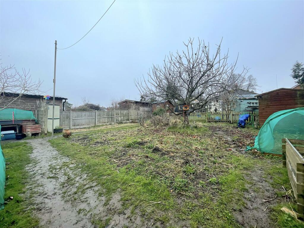 Garden (9).jpeg