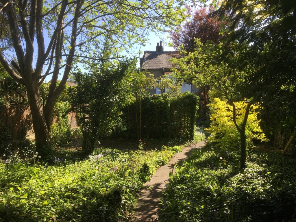 Garden 3