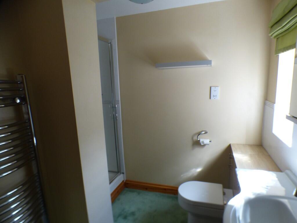 Annexe Shower Room