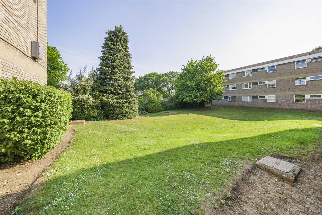 Photo May 13 2025, 8 41 42 AM.jpg