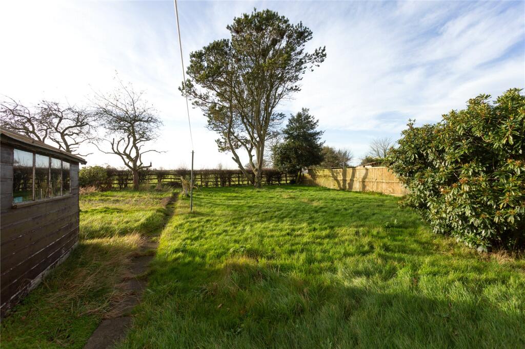 Photos