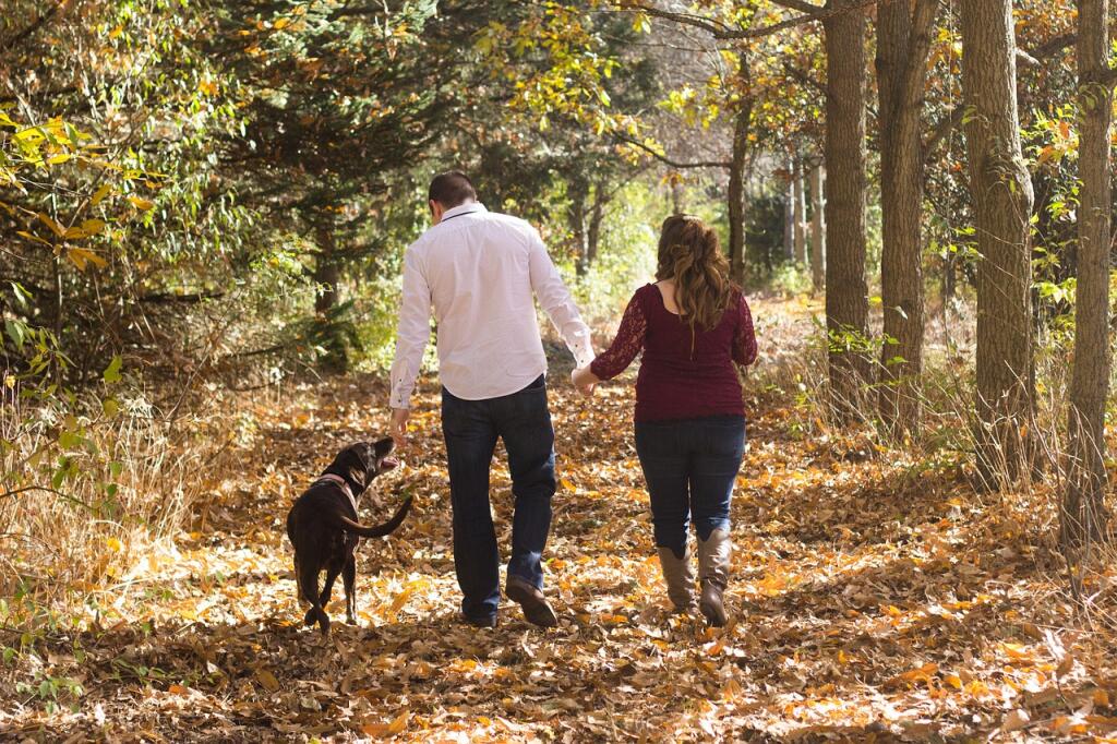 Walking the dog