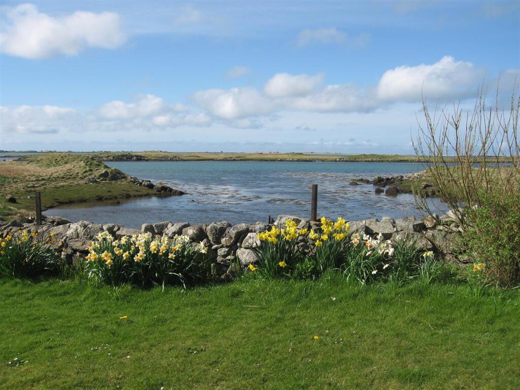 Sea view and flowers.JPG