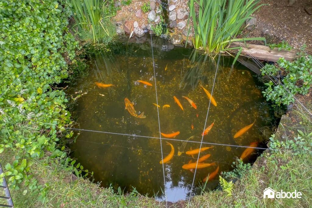 Screenshot 2024-07-05 at 07.57.22-1.jpg