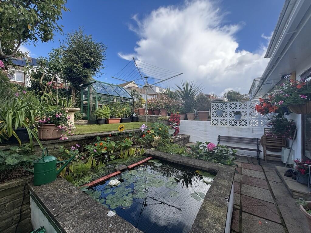 garden 4