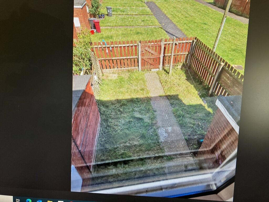 back garden 