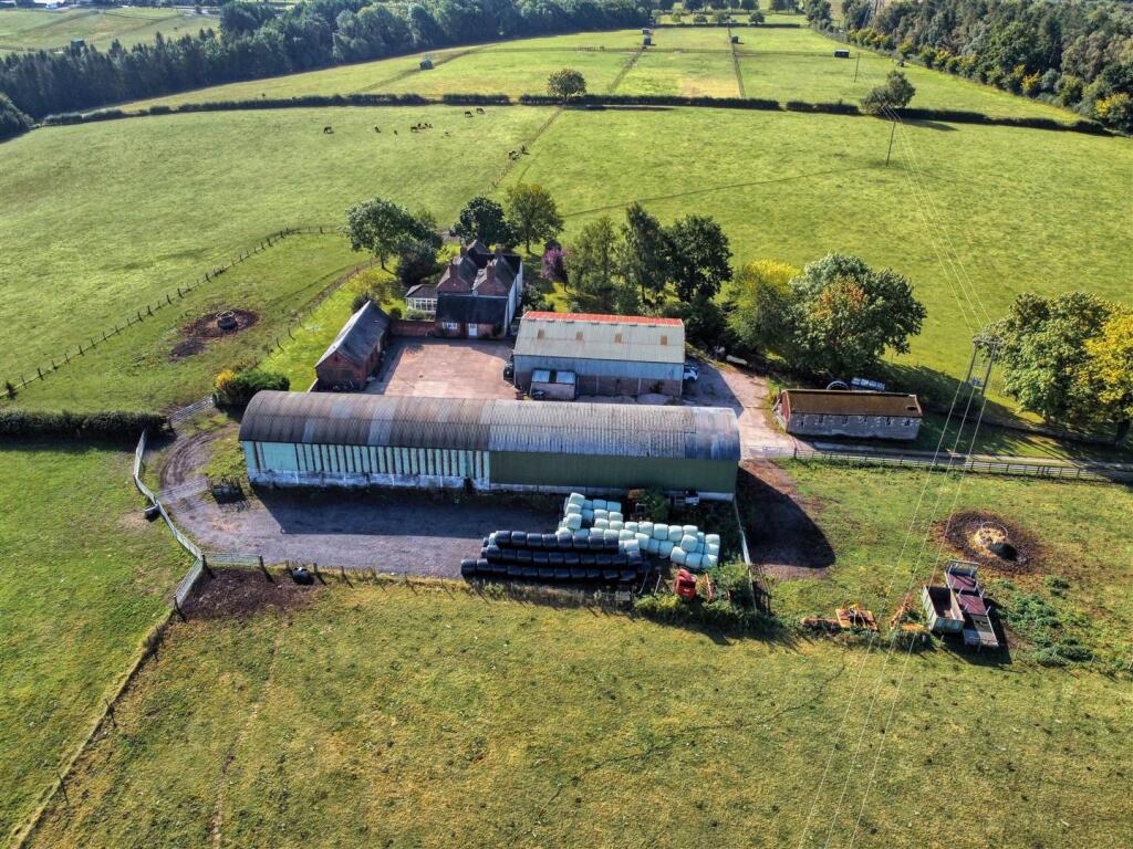 dji_fly_20250905_101414_833_1757063665314_photo_op
