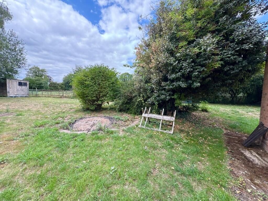 Garden 2.jpg