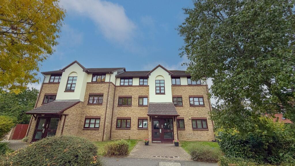 Main Image
