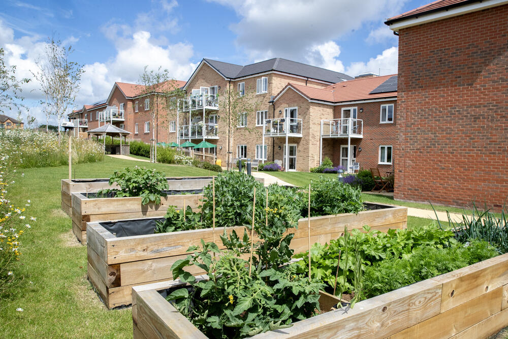 Shared gardens