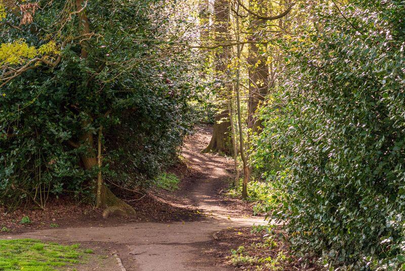 Bingham Park