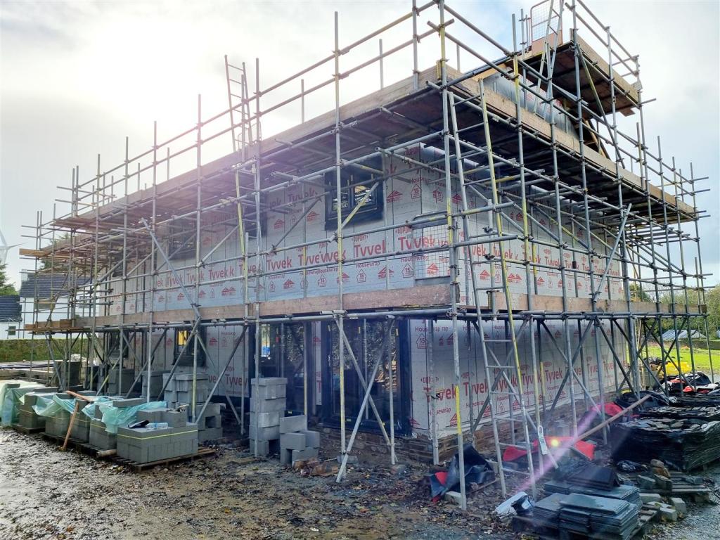 Rear Aspect