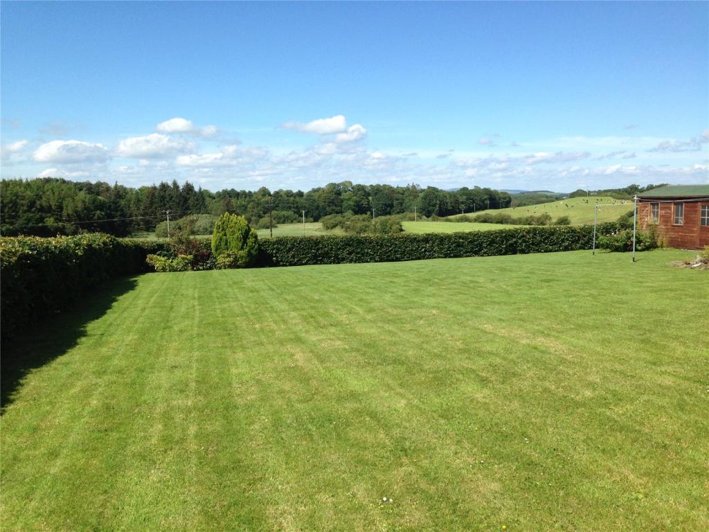 Lawn and View
