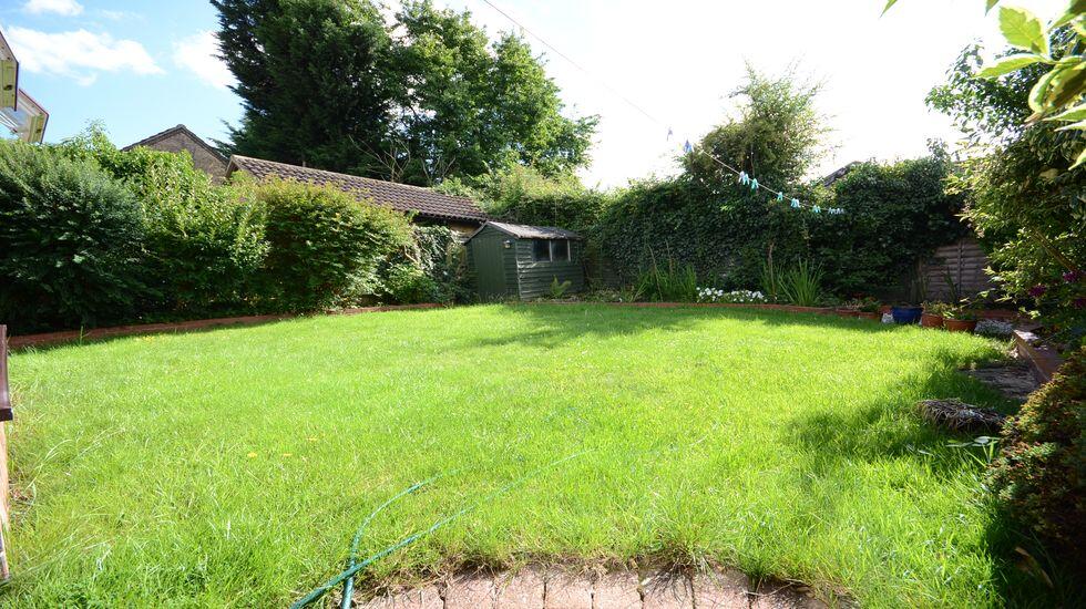 gardenresized.JPG