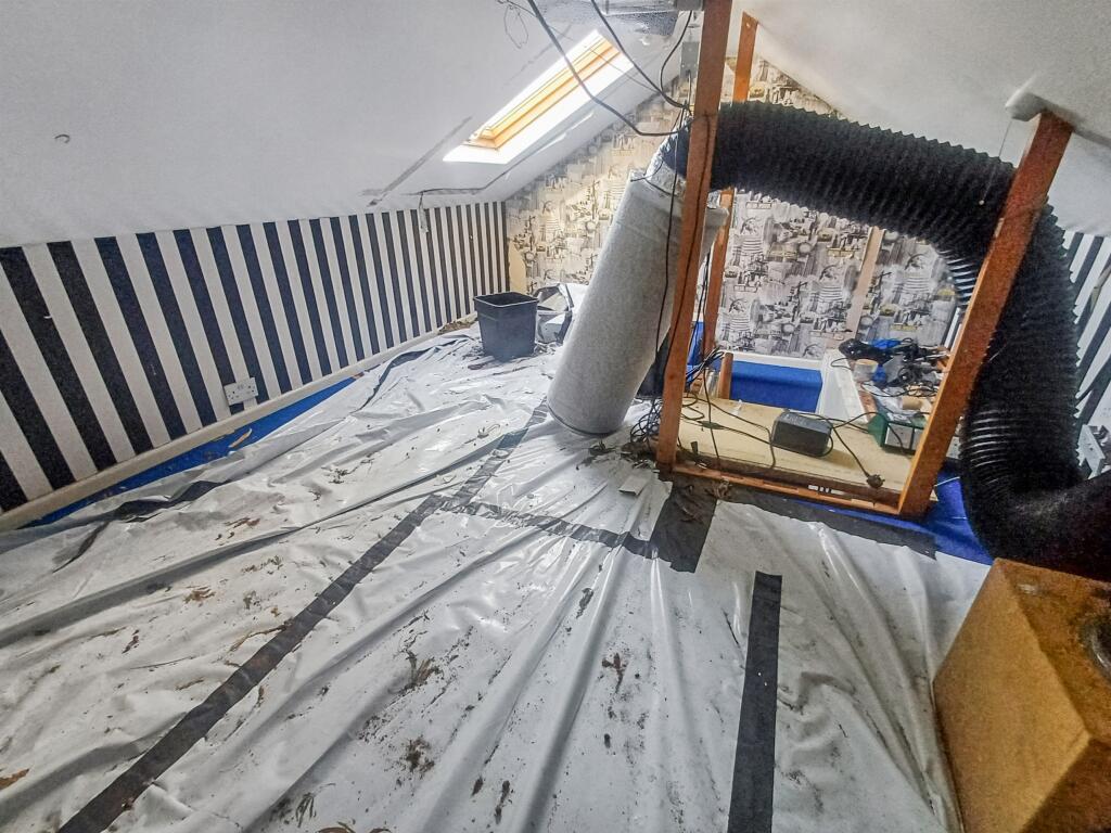 20251030045006 20251029 110825 8YLN5 T202510300954.jpg