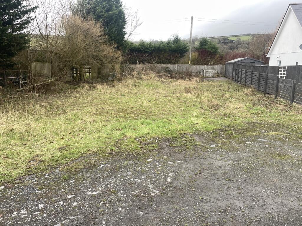IMG 4488 T202501161029.jpeg