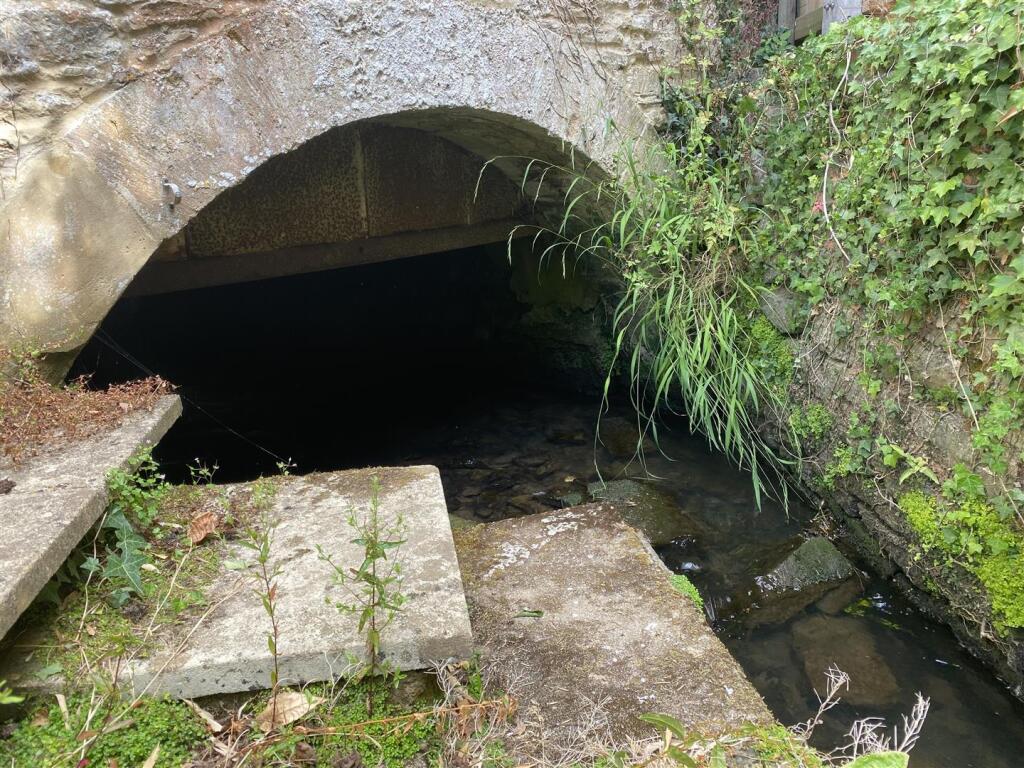Stream
