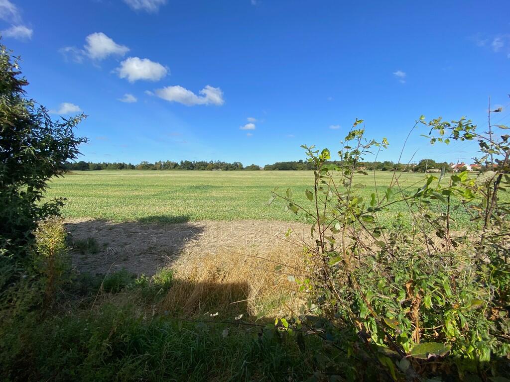 Adjacent field